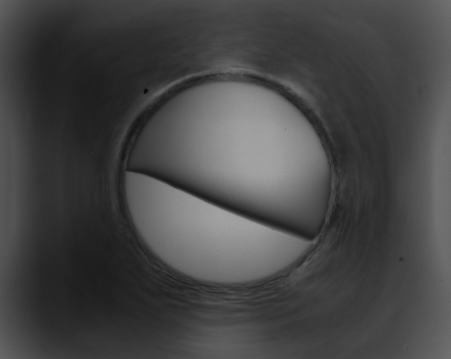 X0000090621271200707171056