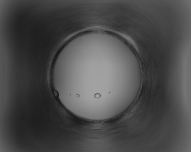 X0000090621279200707171056