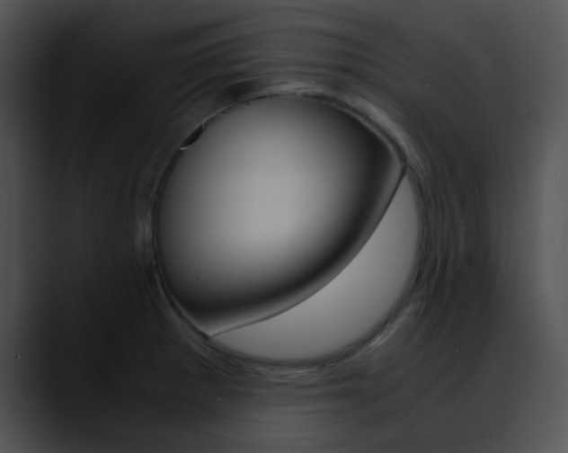 X0000090621281200707171056