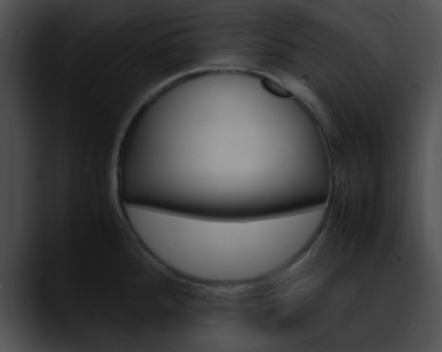 X0000090621288200707171056