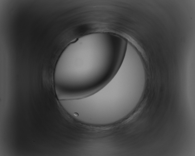X0000090621289200707171056