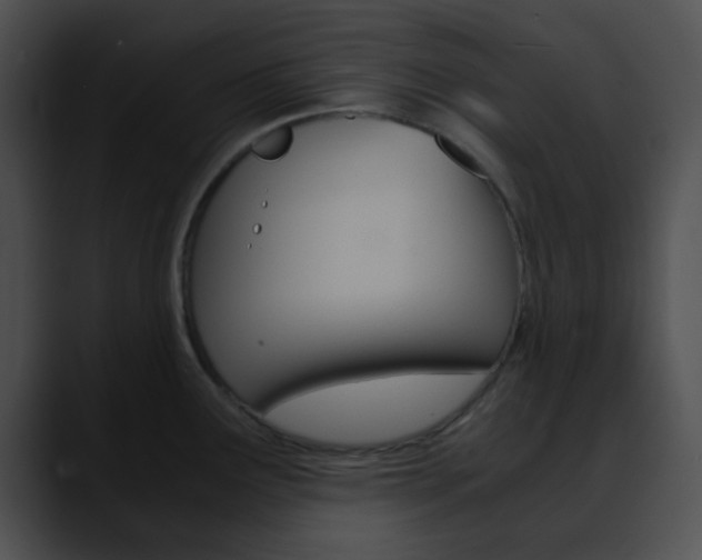 X0000090621291200707171056