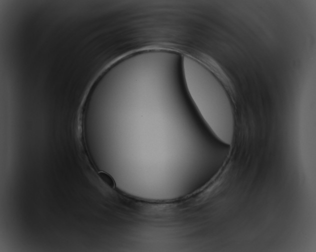 X0000090621292200707171056