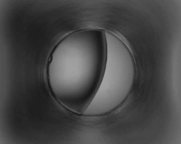 X0000090621293200707171056