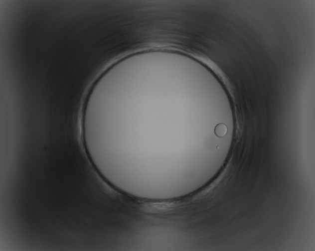 X0000090621294200707171056