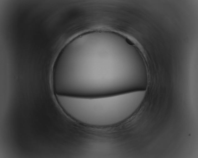 X0000090621295200707171055