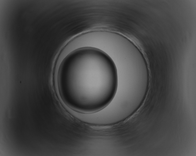 X0000090621296200707171055