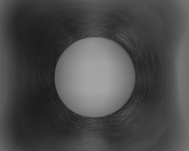 X0000090621298200707171055