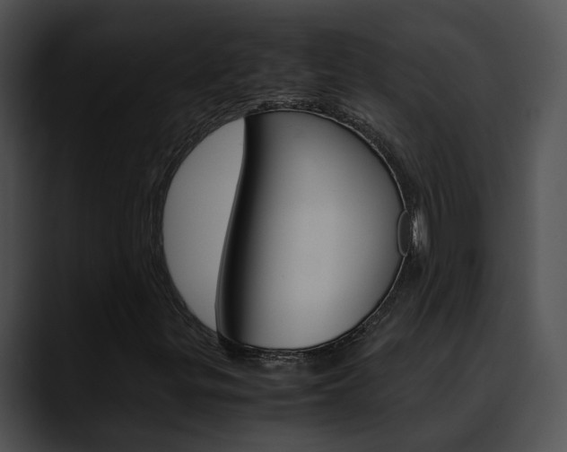 X0000090621299200707171055