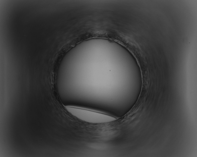 X0000090621301200707171055