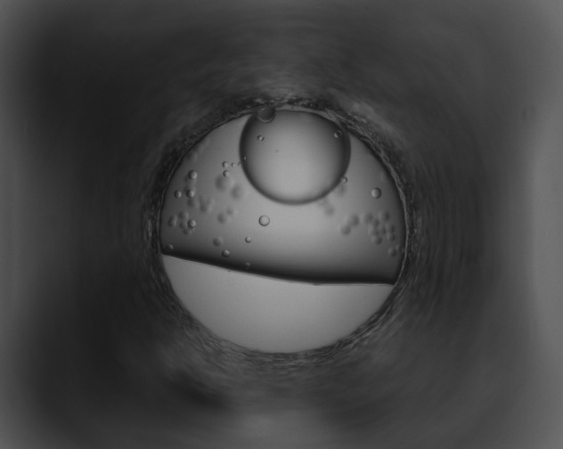 X0000090621302200707171055