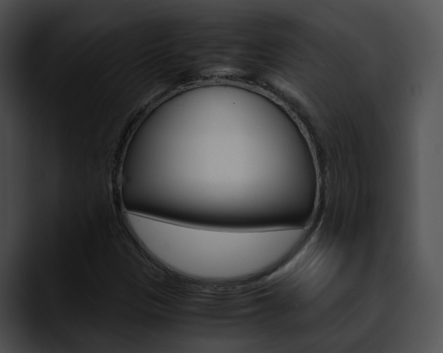 X0000090621305200707171055