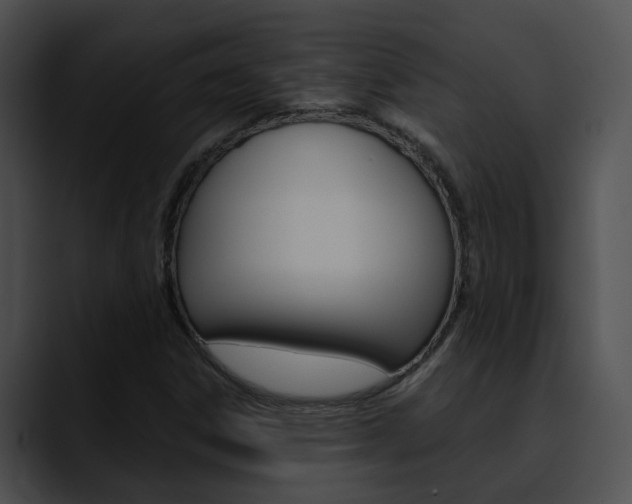 X0000090621306200707171055