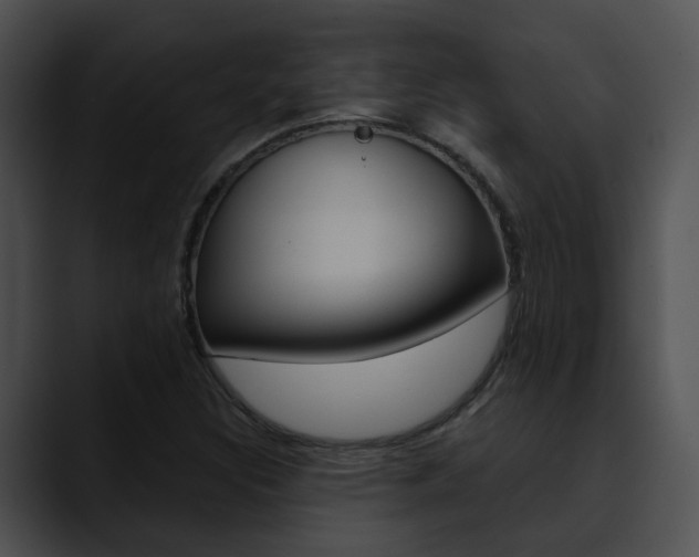 X0000090621308200707171055
