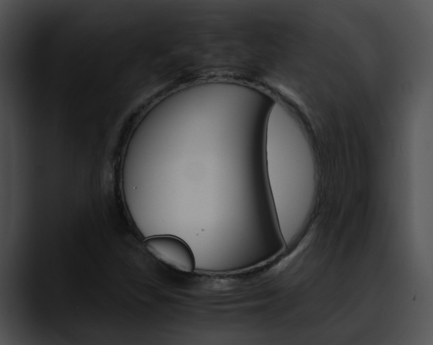 X0000090621309200707171055