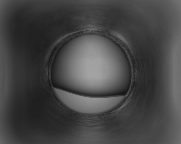 X0000090621310200707171055