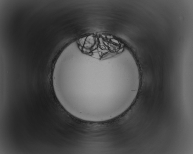 X0000090621314200707171055