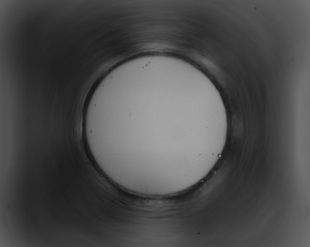 X0000090621322200707171055