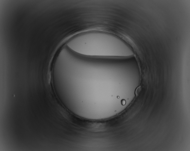 X0000090621324200707171055