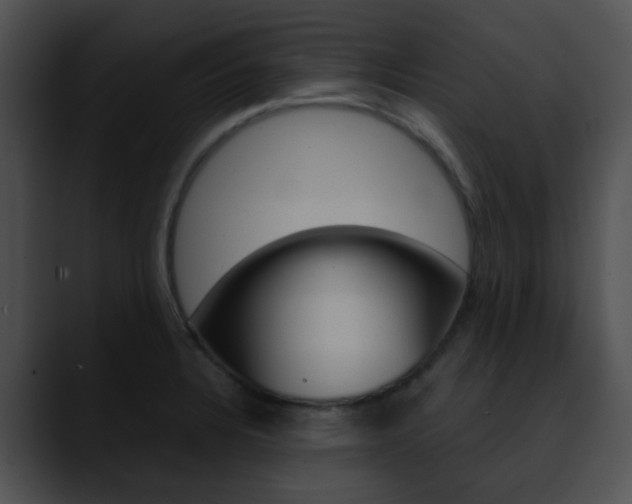 X0000090621328200707171055