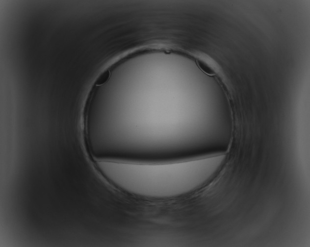X0000090621335200707171055