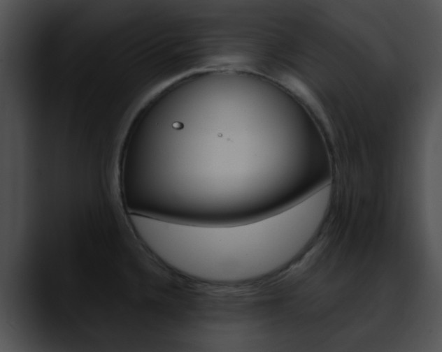 X0000090621336200707171055