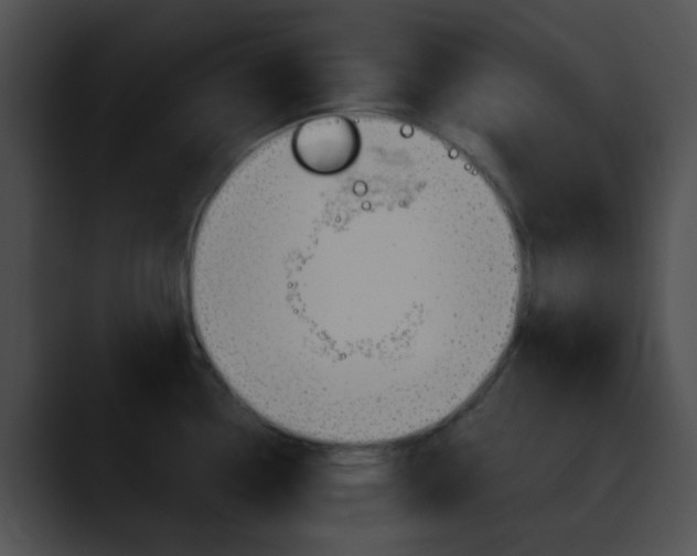 X0000090621338200707171055