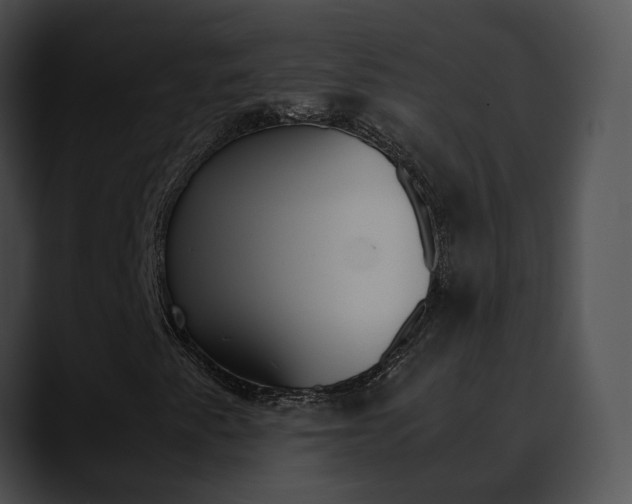 X0000090621345200707171055