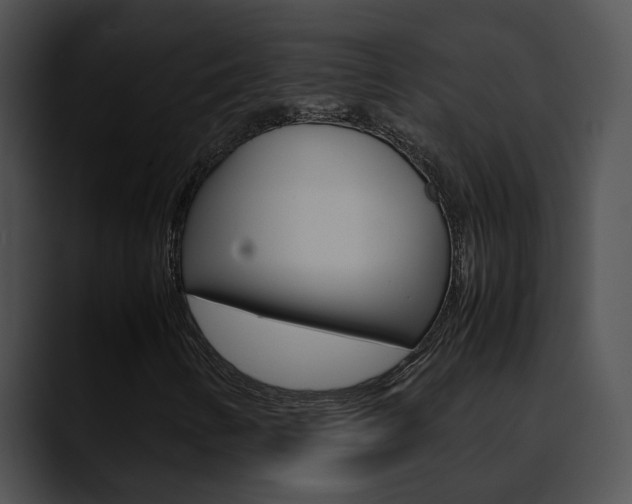 X0000090621346200707171055
