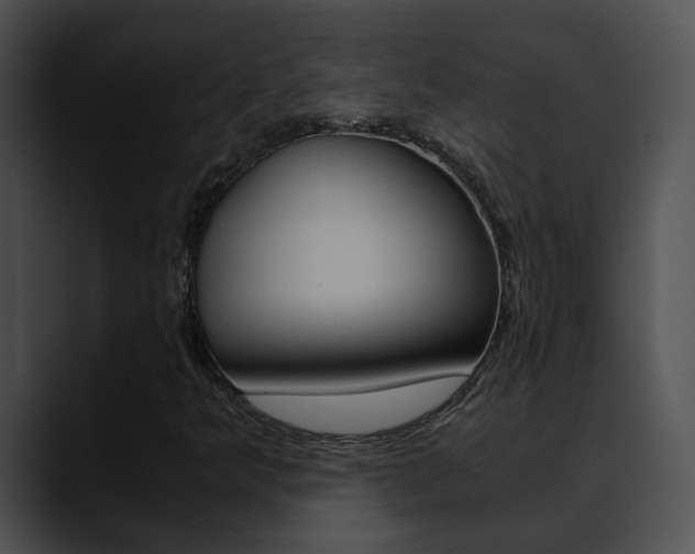 X0000090621349200707171055