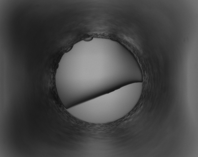 X0000090621350200707171055