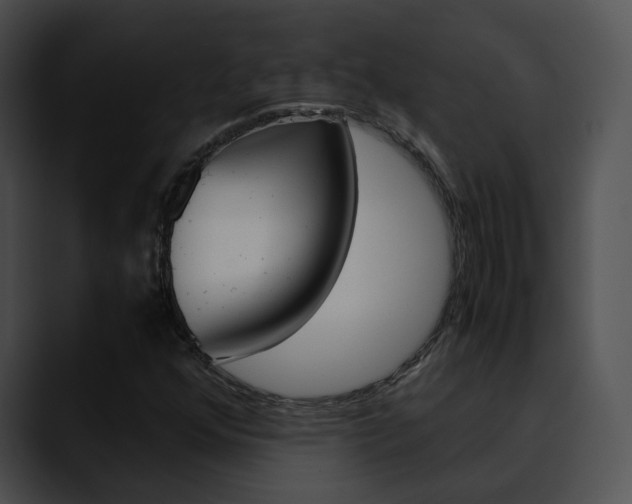 X0000090621352200707171055