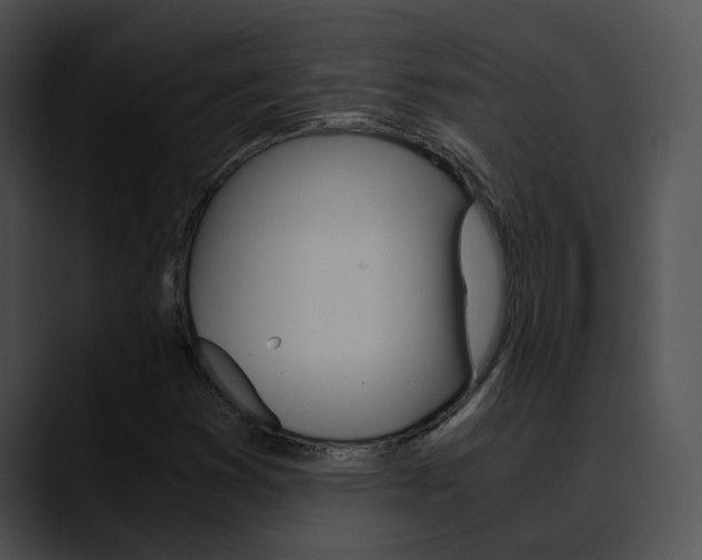 X0000090621353200707171055