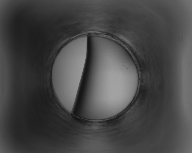 X0000090621355200707171055