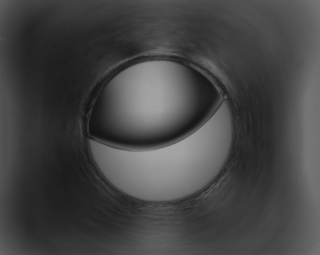 X0000090621356200707171055