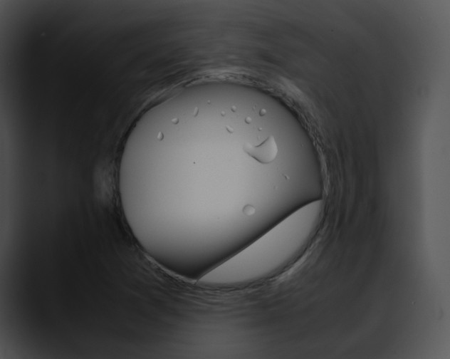 X0000090621361200707171055