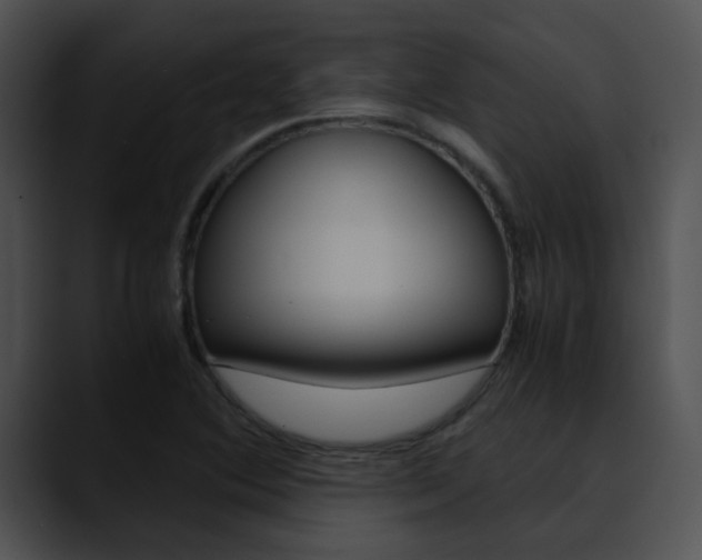 X0000090621364200707171055