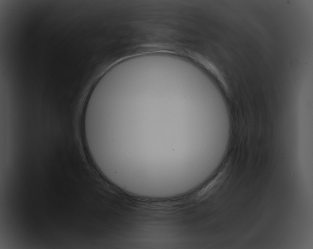 X0000090621365200707171055
