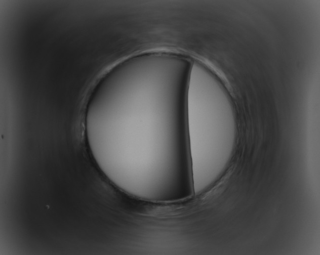 X0000090621367200707171055