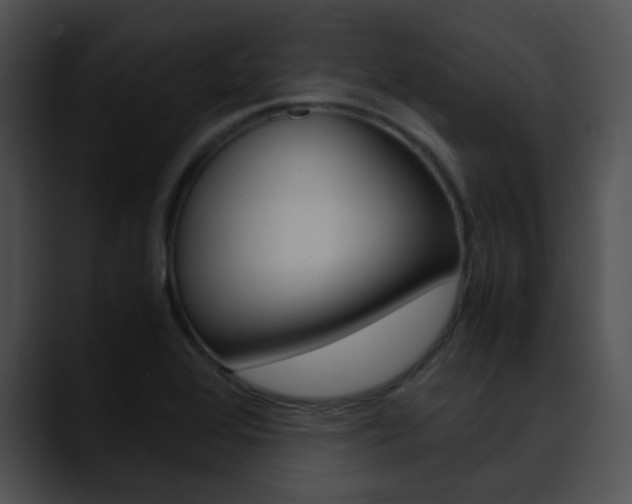 X0000090621368200707171055