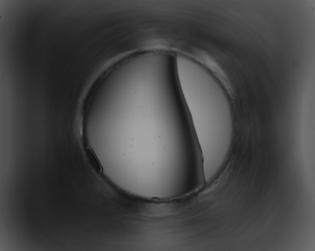 X0000090621376200707171055