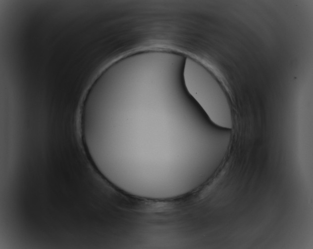 X0000090621382200707171054