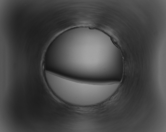 X0000090621383200707171054