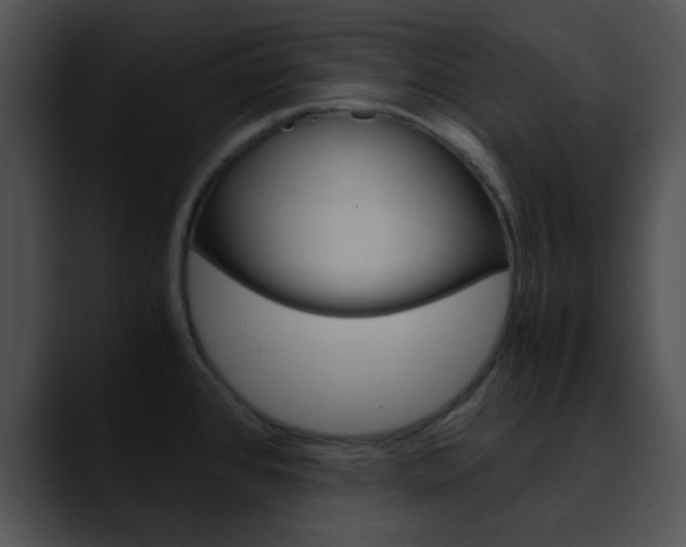 X0000090621384200707171054