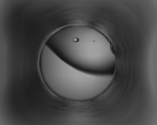 X0000090621387200707171054