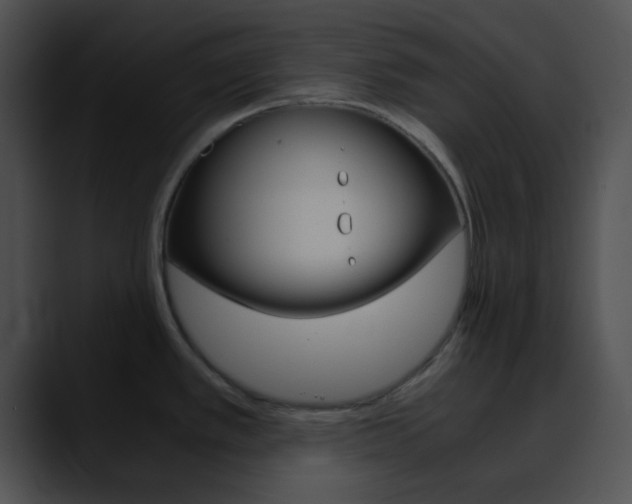 X0000090621389200707171054