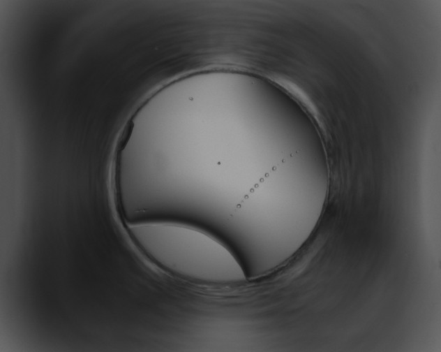 X0000090621391200707171054