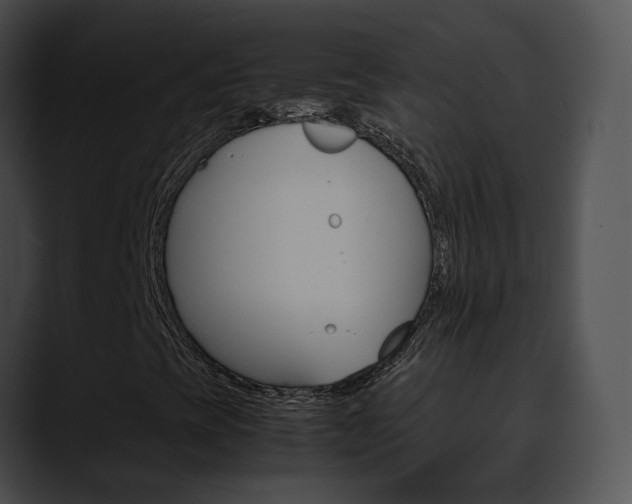 X0000090621393200707171054
