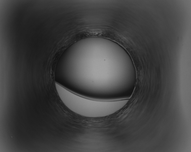 X0000090621394200707171054