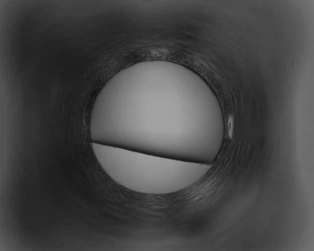 X0000090621395200707171054